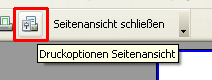 druckoptionen_seitenansicht.png